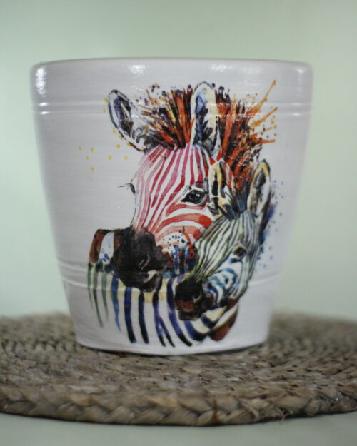Zebra plant pot with a young zebra against light green background