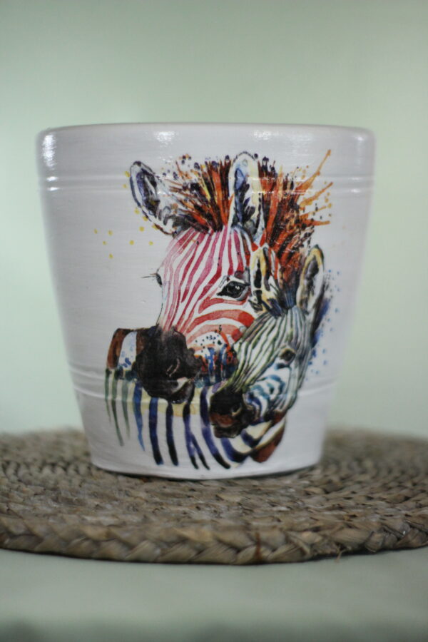 Zebra plant pot with a young zebra against light green background