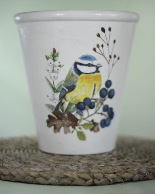 picture of a blue tit bird sitting on branch, put on a plant pot with a green background