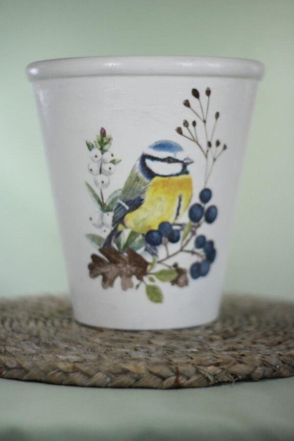 picture of a blue tit bird sitting on branch, put on a plant pot with a green background
