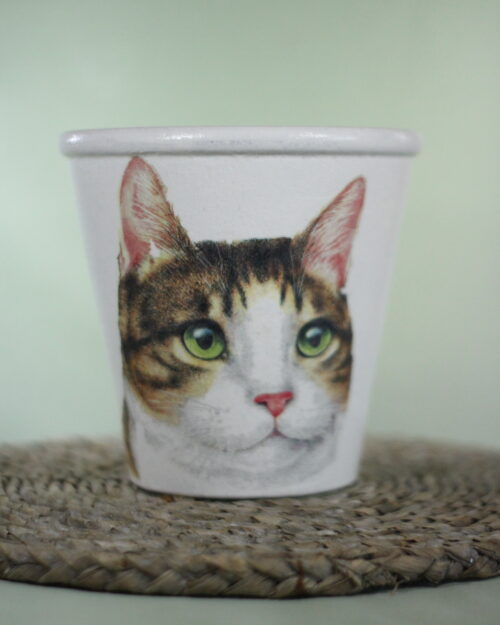 Picture of cat on pot with a green background