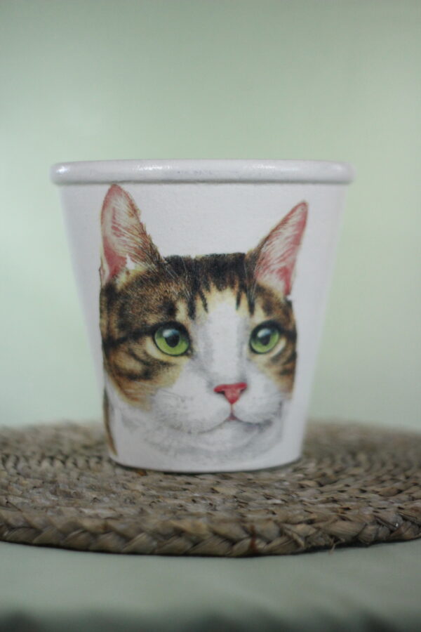 Picture of cat on pot with a green background