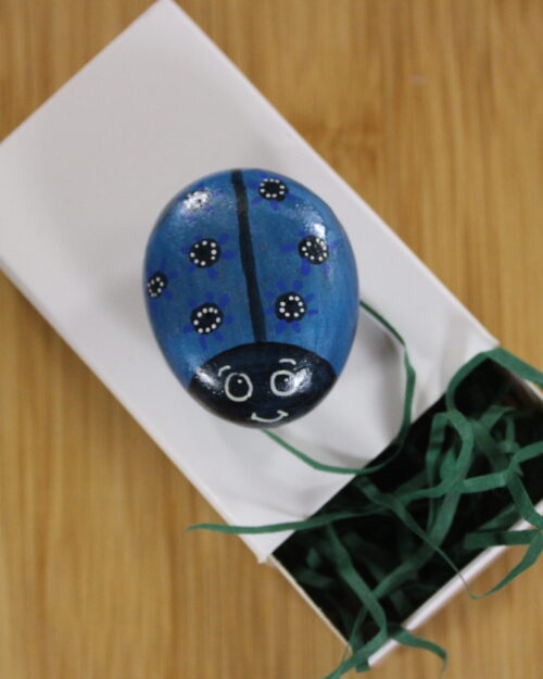 dark blue painted pebble - pebble pet
