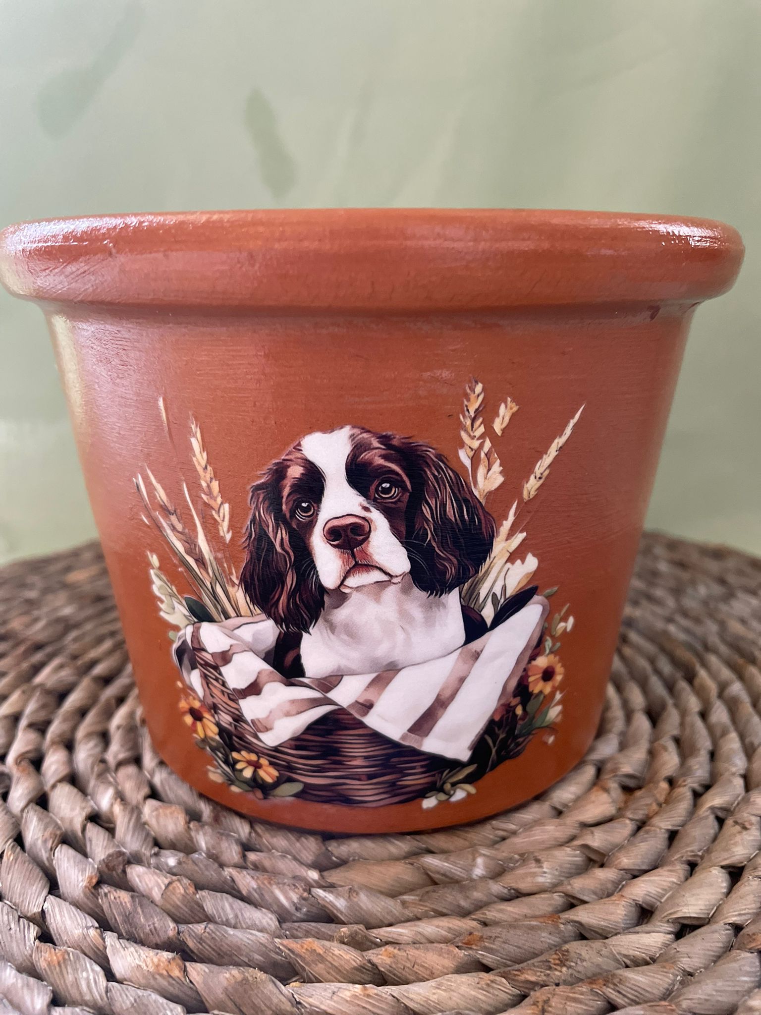 Decorative Plant pot with cocker spaniel dog on it