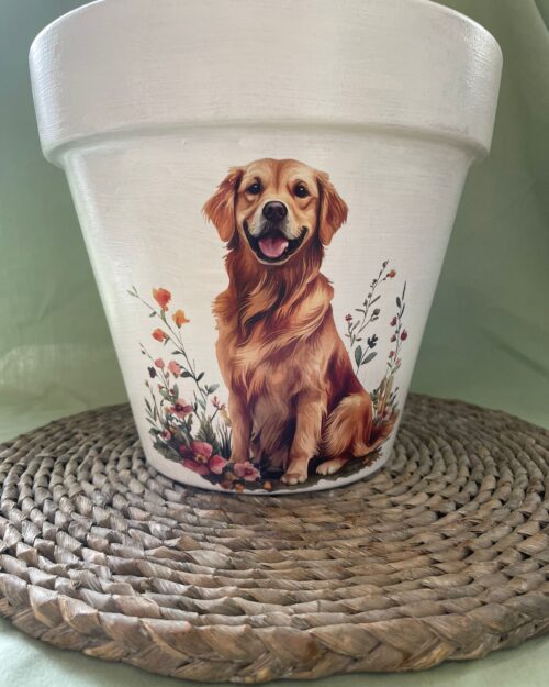 plant pot with a picture of a labrador on it
