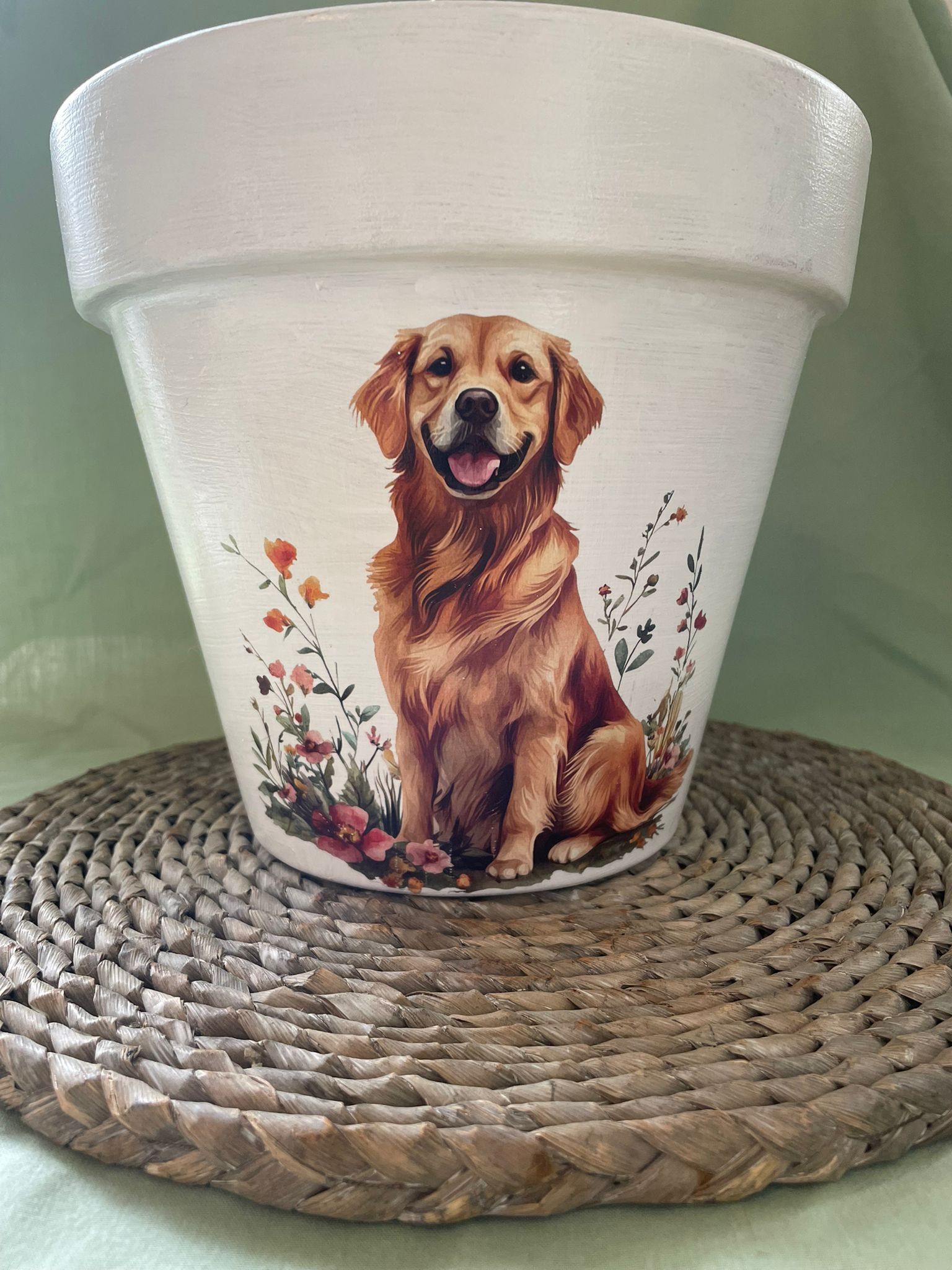 plant pot with a picture of a labrador on it